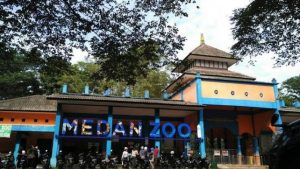 Efeck  Covid-19, 270 Ekor Satwa di Kebun Binatang Medan Terancam Kelaparan