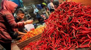 Di Sidimpuan, Harga Cabai Merah dan Gula Pasir Anjlok