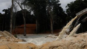 Diduga Tak Punya Izin , Polisi Didesak Tutup  Aktivitas PT Capital Mining Hutana