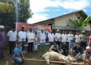 Daging Kurban Diperuntukkan Membantu Warga Yang Terdampak COVID-19 di Tapsel