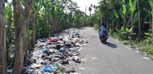 Tumpukan Sampah Meresahkan Warga