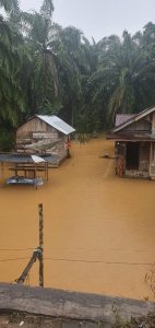 5 Desa di Mandailing Natal Banjir, Rumah Warga Tergenang