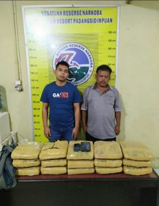 Polisi Amankan 15 Kg Ganja Asal Madina di Sidimpuan, 2 Sindikat Narkoba Ditangkap