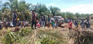 PT SSL Diduga  Serobot Lahan Warga di Palas
