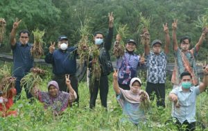 Dolly Pasaribu Akan Manfaatkan Teknologi Digital Untuk Lebih Meningkatkan Hasil Pertanian