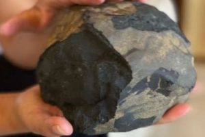 Batu Meteor Bawa Joshua Hutagalung Asal Tapteng Kaya Mendadak