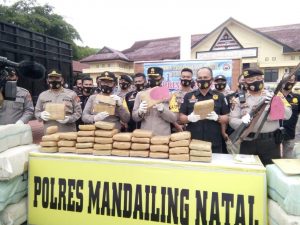 Polres Mandailing Natal  Amankan Setengah Ton Ganja, Satu Orang Tersangka Ditembak