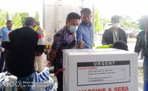 7.160 Vaksin Corona Sinovac Tiba di Malut