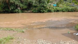 Terseret Arus Sungai, Jembatan Penyeberangan di Aek Sijorni Hanyut