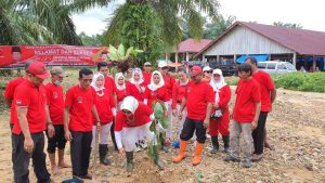Peringati HUT Ke-48, DPC PDI-P Padangsidimpuan Tanam Pohon