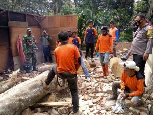 Update Pohon Timpa Rumah Warga: BPBD Sidimpuan Lakukan Pembersihan