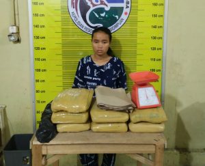 Polres Padangsidimpuan Amankan 7 Kg Ganja, 1 Orang IRT Asal Pijorkoling Ditangkap