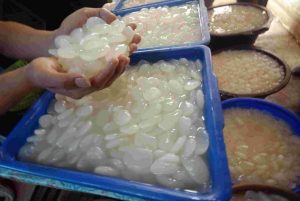 Permintaan Kolang-kaling asal Panyabungan Menurun Drastis