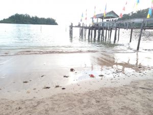 Pasca Gempa Nias,  Air Laut Tiba-Tiba Surut di Pantai Barat, Madina