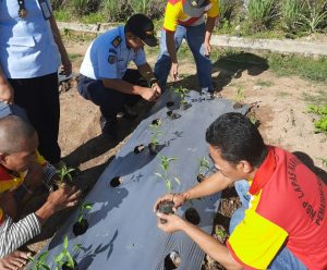 459 WBP LP Narkotika Pematangsiantar Dapat Kado Istimewa di HUT RI ke 76