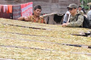 Mengunjungi Dusun Rauning Julu, Gudang Penghasil Tembakao di Tapanuli Selatan