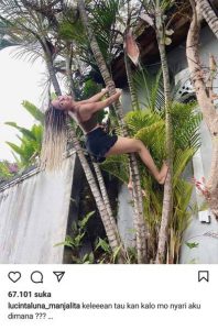 Lucinta Luna Manjat Pohon, Netizen Heboh