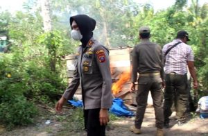 Geger, Kapolres Sidimpuan Bakar Gubuk yang Diduga Lapak Narkoba