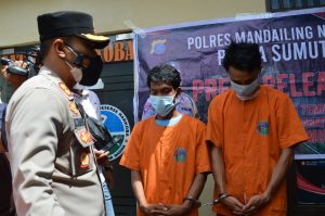 Kirim Ganja Lewat Ekspedisi, Dua Orang Warga Mandailing Natal Ditangkap