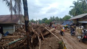 Pasca Banjir Bandang di Padanglawas, Ribuan Kubit Tumpukan Kayu Dibersihkan