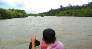 Niat Mencari Umbut Nibung, Salah Seorang Warga Desa Tabuyung Hilang