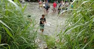 Heboh! Warga di Mandailing Natal Temukan Mayat Bayi Saat Pembukaan Lubuk Larangan