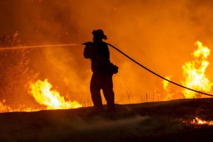 Malam-malam, Tim Manggala Agni, Bhabinkamtibmas dan Warga Padamkan Kebakaran Lahan di Paluta