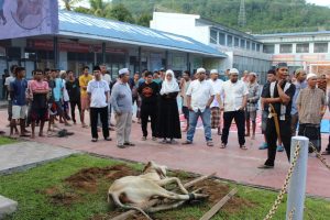 Indahnya Idul Adha di Lapas Kelas II-B Padangsidimpuan: Dari Menyembelih hingga Berbagi Daging Kurban