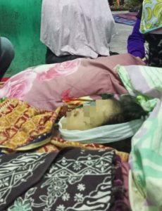 Tragis, 4 Bocah di Padangsidimpuan Tersengat Lebah, 1 Meninggal