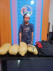 Jatuh Dikejar Petugas, Pria Bawa Ganja 4 Bal Dibekuk Di Lubuk Sibegu, Madina