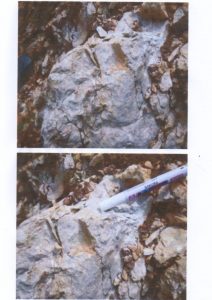 Tingkatkan Pendapatan Daerah, PT TSM Akan Eksploitasi Sumber Daya Alam