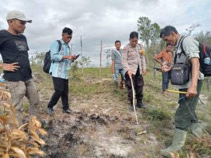 Update Binatang Buas Mangsa Hewan Ternak di Tapsel: Warga Takut ke Kebun