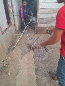 2 Ekor Ular Kobra Dievakuasi dari Sumur Warga di Desa Pudun Jae
