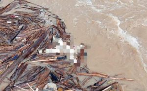 Mayat Ditemukan Mengapung di Sungai Batang Toru Tapsel