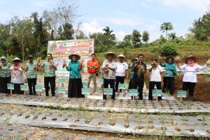 Bersama Pemkab Tapsel dan PLTA Batangtoru, Marancar Menuju Lumbung Bawang Merah