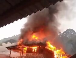 Update Kebakaran di Ulupungkut Madina: Polisi Lakukan Penyelidikan