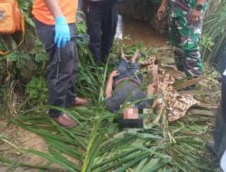 Pria Ini Ditemukan Tewas Gantung Diri di Pohon Karet