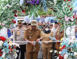 Pameran Pembangunan dan Pasar Produk Ekonomi Warnai HUT ke-25 Madina