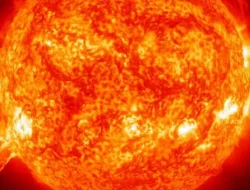 Peramal India Ramal Kiamat 29 Juni 2024, Simak 10 Prediksi Kiamat yang Bikin Dunia Ngakak!