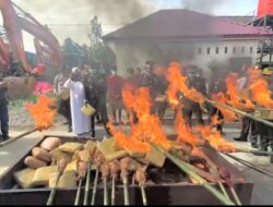 Hadiah Bhayangkara ke 78, Polres Madina Musnahkan 140 Kilogram Barang Bukti Ganja