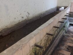 Saluran Irigasi Rusak, Belasan Masjid dan Musala Kekeringan di Padangsidimpuan