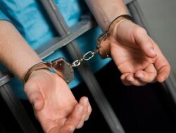 Kesal Burungnya Diterkam, Pria Kejam Tembak Mati Kucing di Semarang Akhirnya Ditangkap