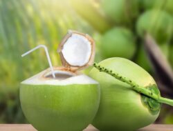Ingat! Ini Manfaat Air Kelapa Muda yang Harus Diketahui