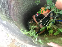 Demi Burung, Warga Depok Terjun Bebas ke Sumur Sedalam 10 Meter