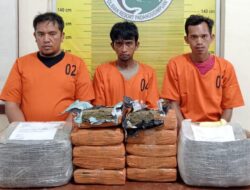 Kurir Narkoba Antar Provinsi Ditangkap di Padangsidimpuan