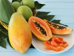 Anda Harus Tahu Manfaat Biji Pepaya