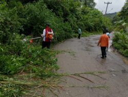 Diinstruksikan Bupati Dolly, Warga Gotong-royong Bersihkan Badan Jalan Provinsi di Arse
