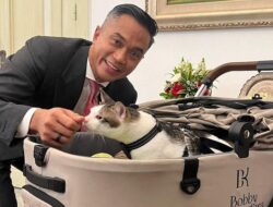 Mengintip Kucing Kesayangan Prabowo Bobby Kertanegara Ikut Pindah Rumah ke Istana