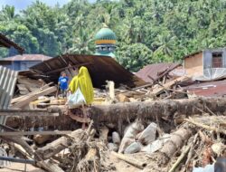 Ratusan Rumah Warga Terdampak Banjir di Tapsel, 77 Rusak dan 4 Hanyut