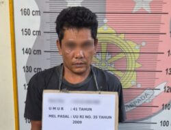 Siasat Konyol Pengedar: Simpan Ganja di Kandang Ayam, Akhirnya Dibekuk Polisi